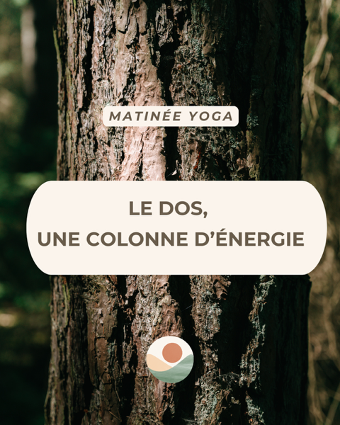 Matinée de Yoga – Le dos, une colonne d’énergie